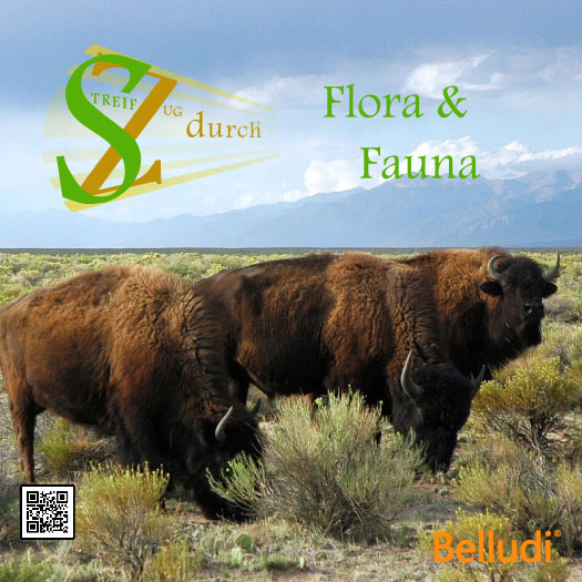 Originale Spieleschachtel